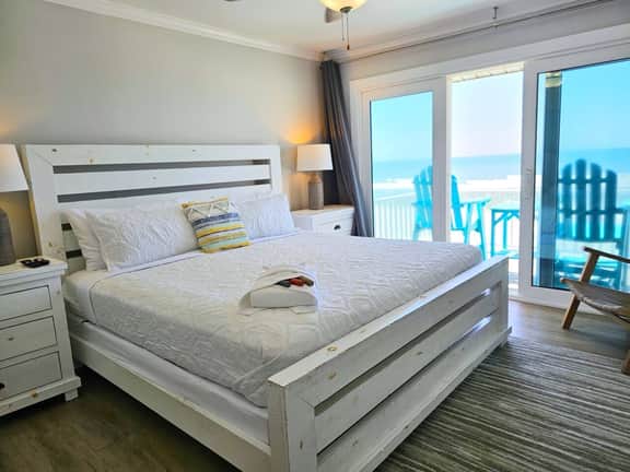 Sanddollar 11