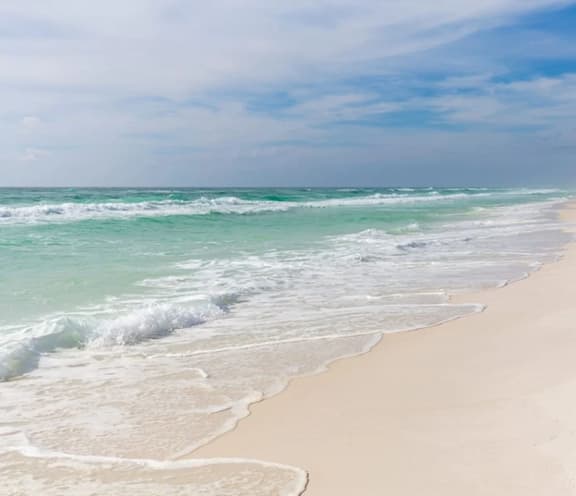 Sand Dollar -10B 1BR on the Beach -Free Bch Serv